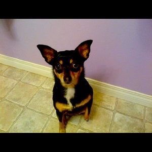 Meet your Posher, Alysha